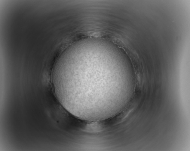 X0000088870705200706151753