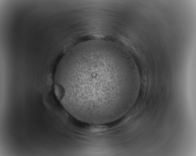 X0000088870707200706151753