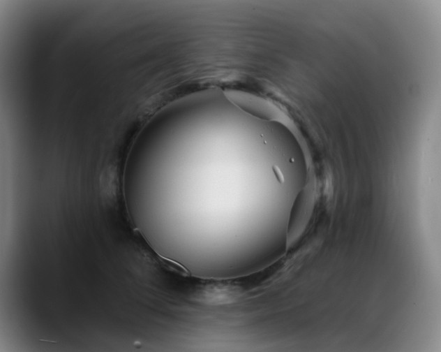 X0000088870708200706151753