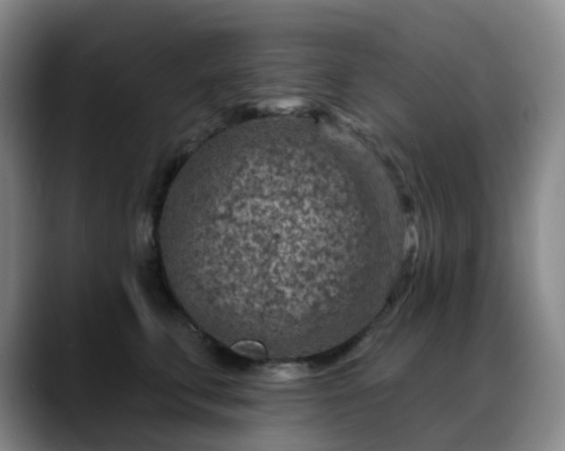 X0000088870711200706151753