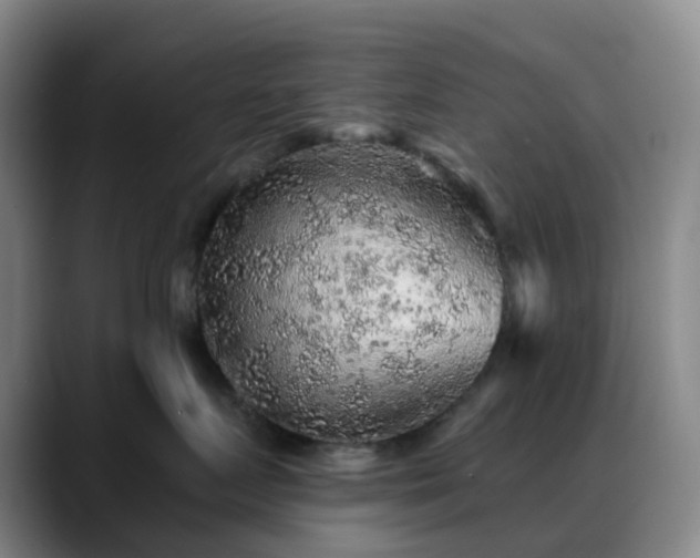X0000088870719200706151753