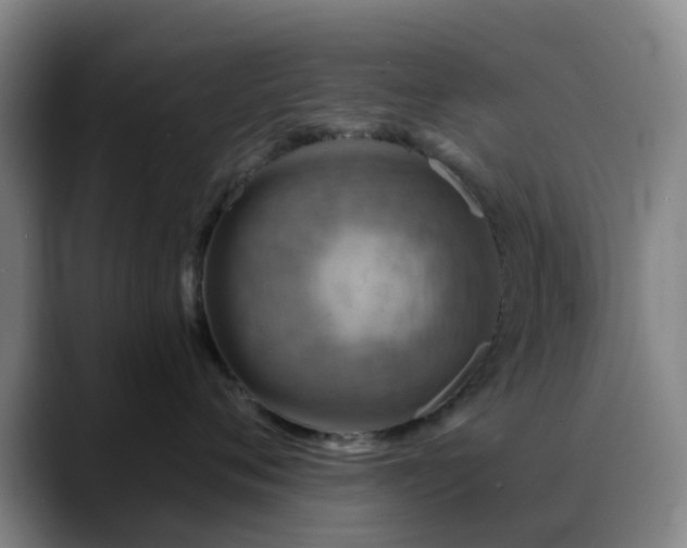 X0000088870720200706151753