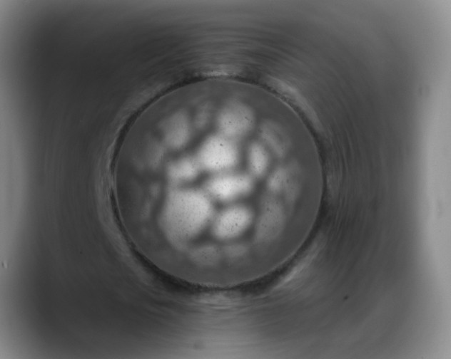 X0000088870721200706151753