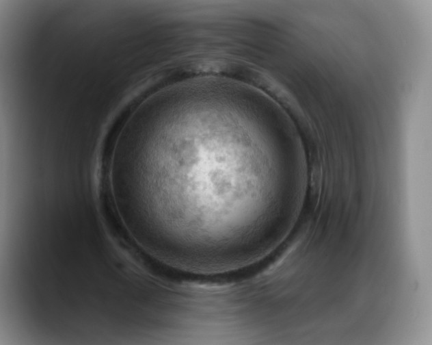 X0000088870722200706151753