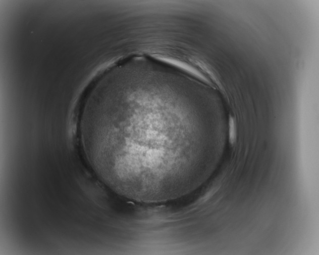 X0000088870723200706151753