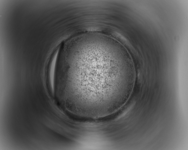 X0000088870725200706151753