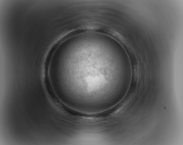 X0000088870726200706151753