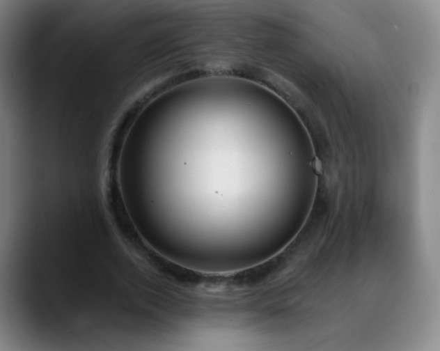 X0000088870728200706151753