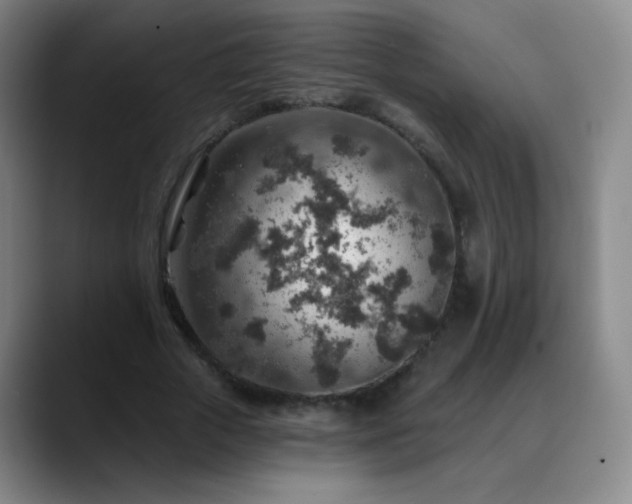 X0000088870729200706151753