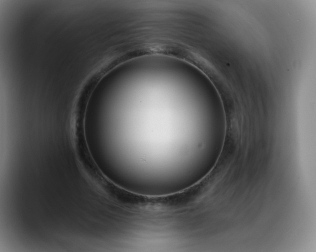 X0000088870730200706151753