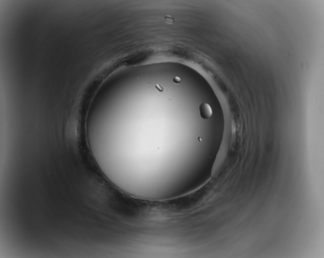 X0000088870732200706151753