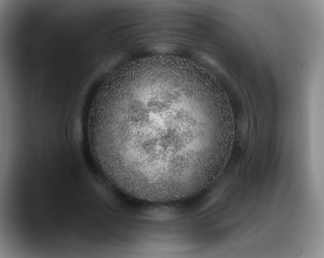 X0000088870734200706151753