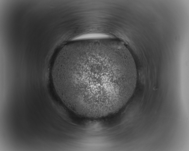 X0000088870735200706151753