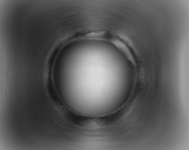X0000088870736200706151753