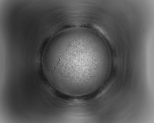 X0000088870737200706151753