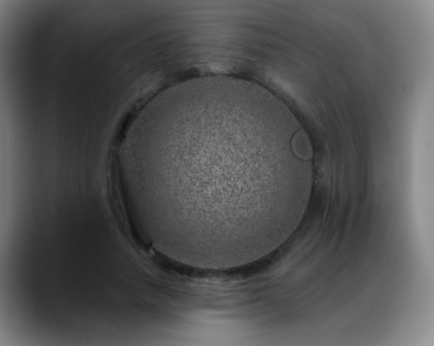 X0000088870738200706151753