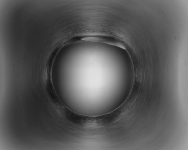 X0000088870740200706151753