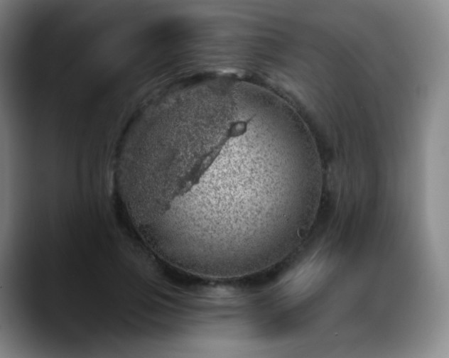 X0000088870741200706151753