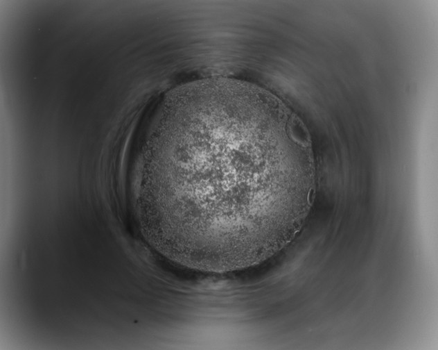 X0000088870742200706151753