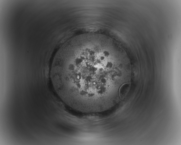 X0000088870745200706151753