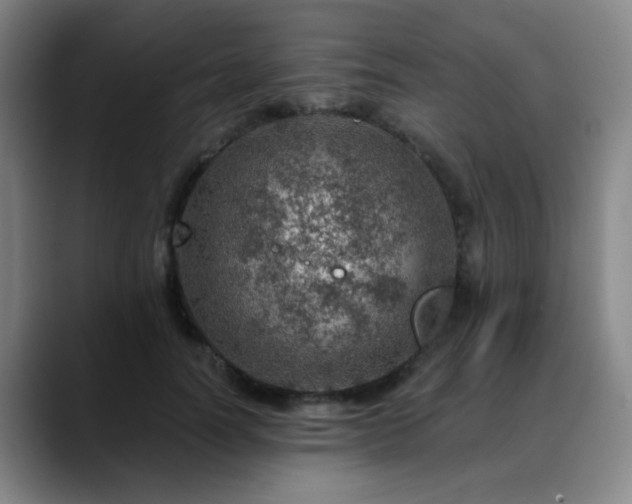 X0000088870746200706151753