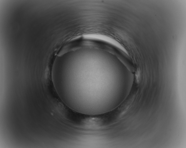 X0000088870748200706151753