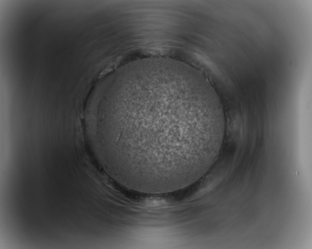 X0000088870749200706151753