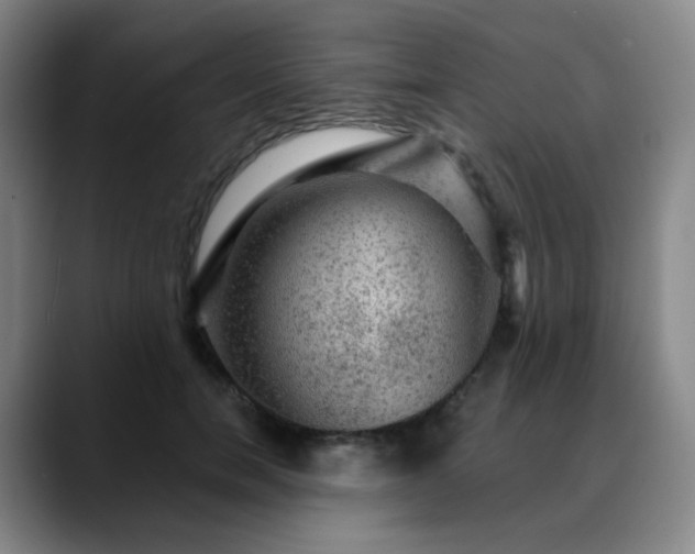 X0000088870750200706151753