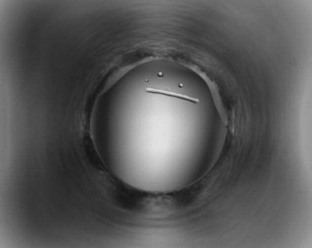 X0000088870752200706151753