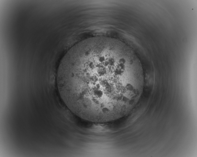 X0000088870753200706151753