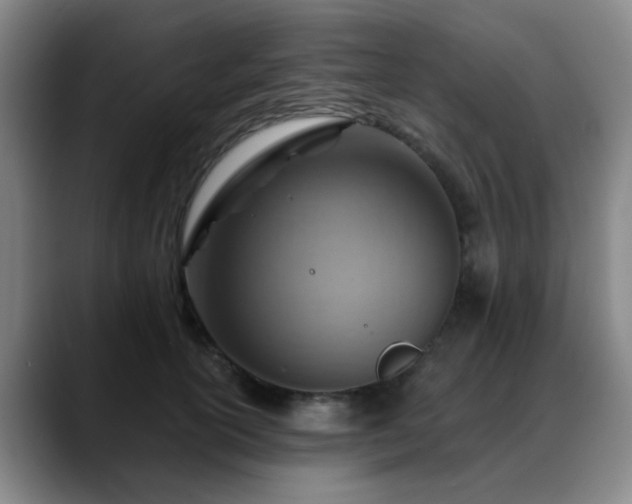 X0000088870754200706151753