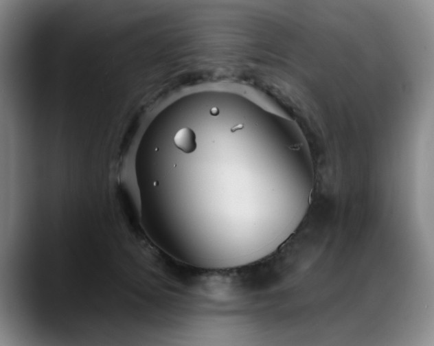 X0000088870756200706151753