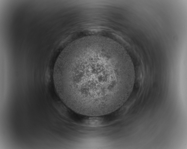 X0000088870758200706151753