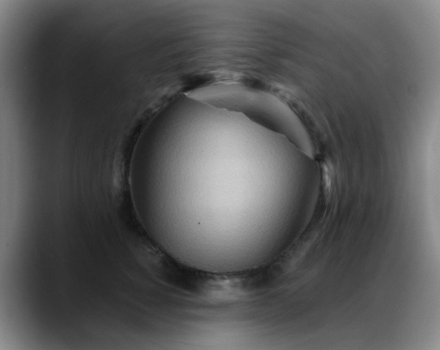 X0000088870760200706151753