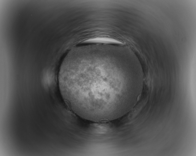 X0000088870763200706151753