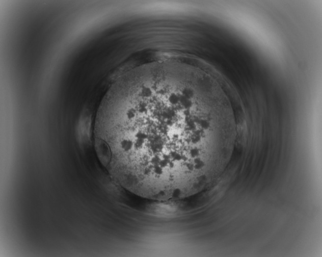 X0000088870765200706151753