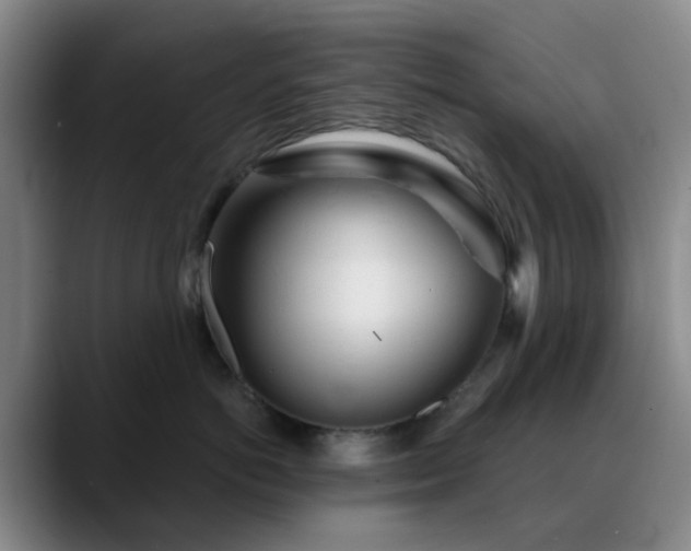 X0000088870766200706151753