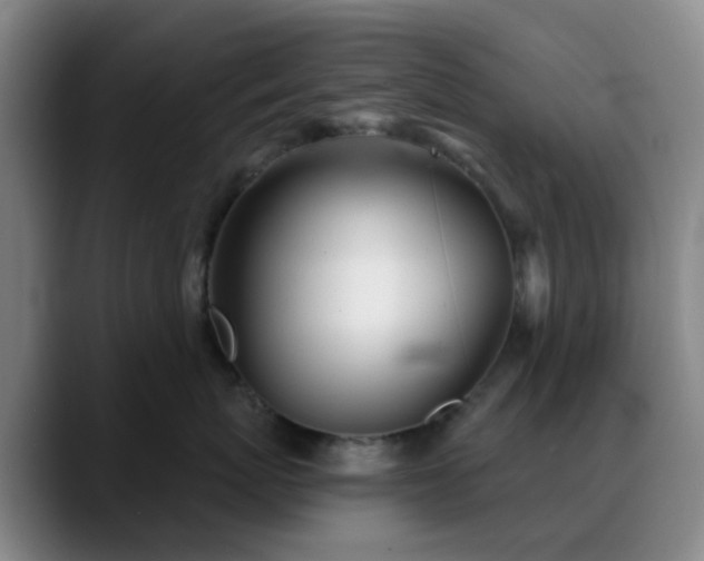 X0000088870767200706151753
