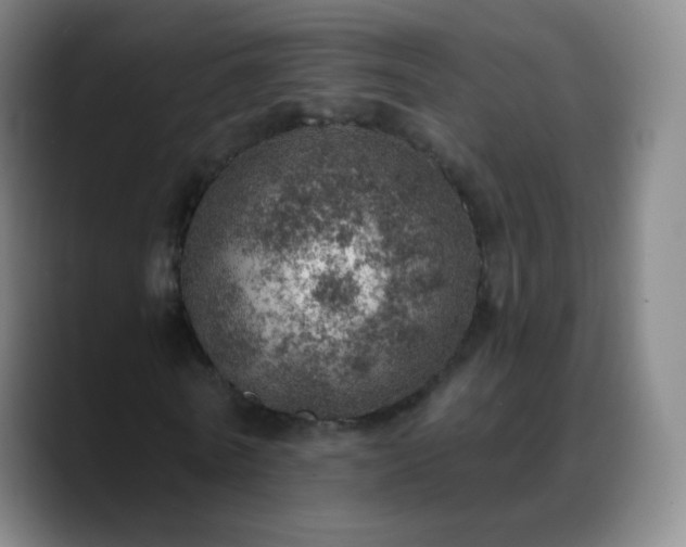 X0000088870770200706151753