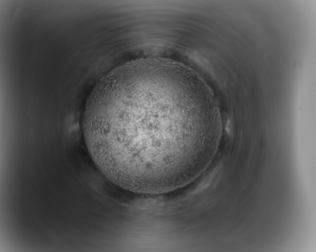 X0000088870771200706151753