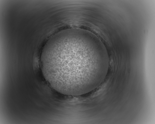 X0000088870772200706151753