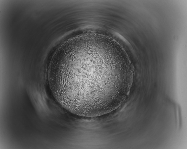 X0000088870775200706151753