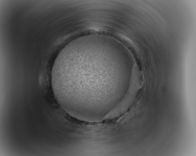 X0000088870776200706151753