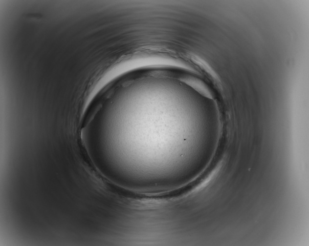 X0000088870777200706151753