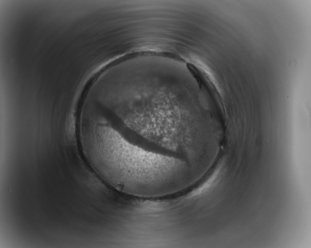 X0000088870779200706151753