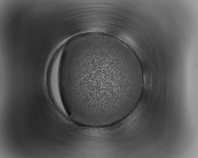 X0000088870780200706151753