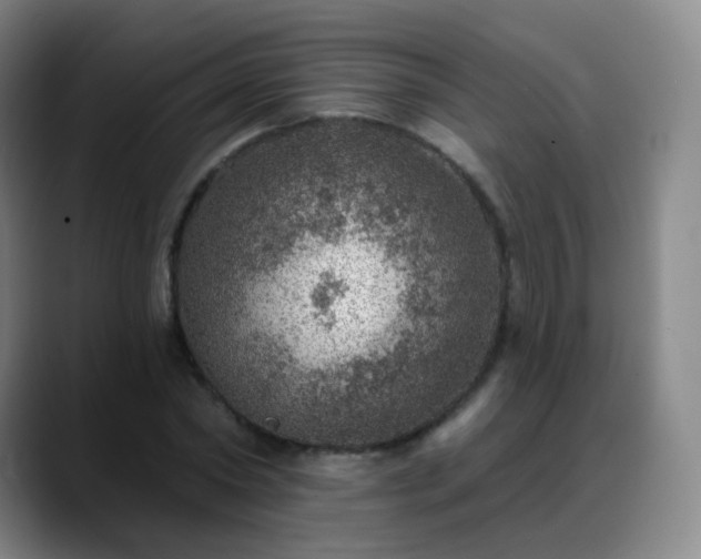 X0000088870782200706151753