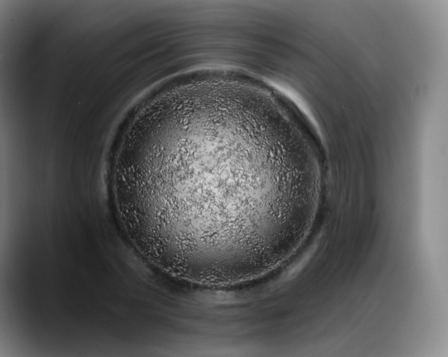 X0000088870783200706151753