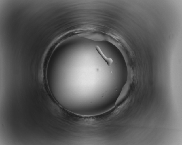 X0000088870784200706151753