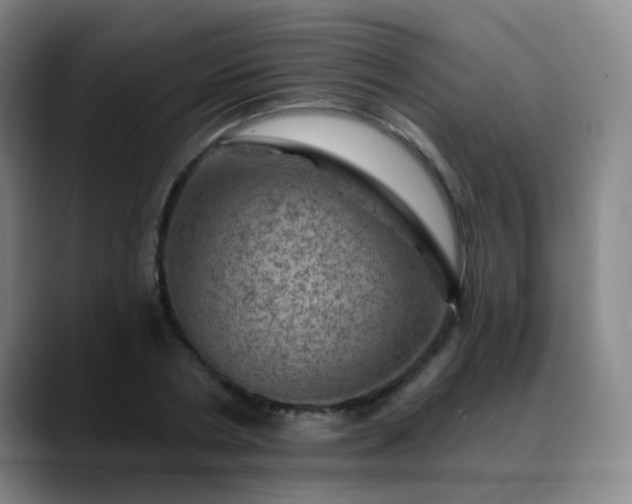 X0000088870786200706151753